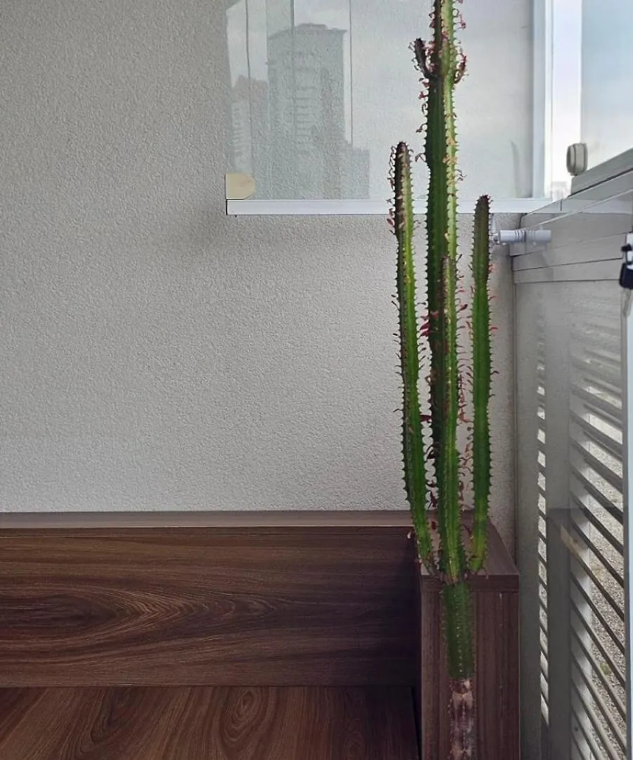 Appartement Brown Stay Brooklin - Novo, Charmoso E Com Lazer Premium - Por Do Sol Perfeito